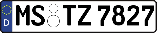 MS-TZ7827