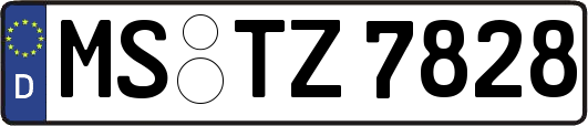 MS-TZ7828