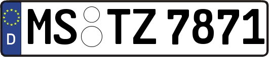 MS-TZ7871