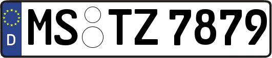 MS-TZ7879