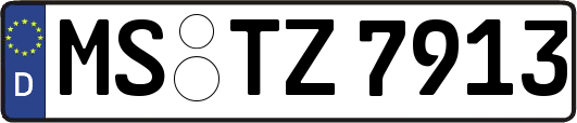 MS-TZ7913