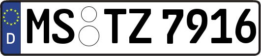 MS-TZ7916