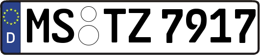 MS-TZ7917