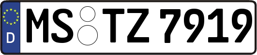 MS-TZ7919