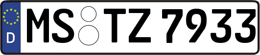 MS-TZ7933