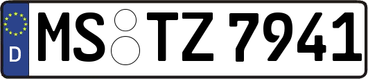 MS-TZ7941