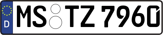 MS-TZ7960