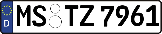 MS-TZ7961