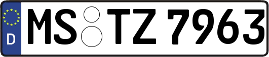 MS-TZ7963