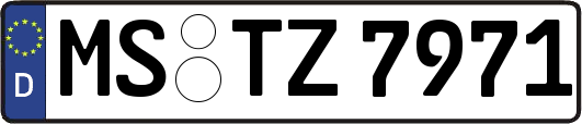 MS-TZ7971