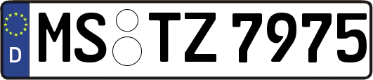 MS-TZ7975