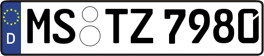 MS-TZ7980
