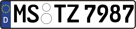 MS-TZ7987