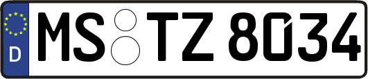 MS-TZ8034