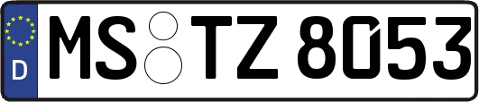 MS-TZ8053