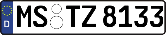 MS-TZ8133