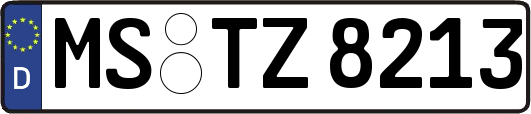 MS-TZ8213
