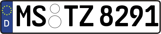 MS-TZ8291