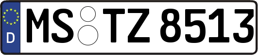 MS-TZ8513