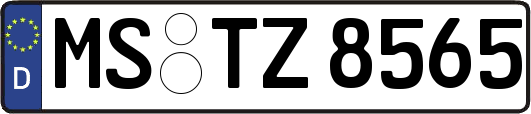 MS-TZ8565