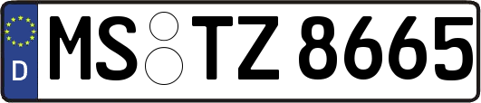 MS-TZ8665