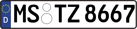 MS-TZ8667