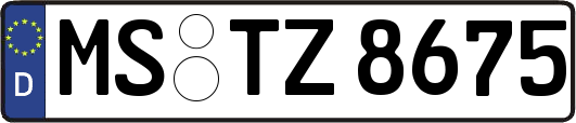 MS-TZ8675