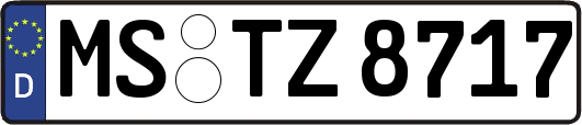 MS-TZ8717