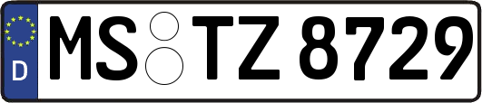 MS-TZ8729