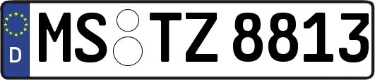 MS-TZ8813