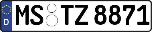 MS-TZ8871