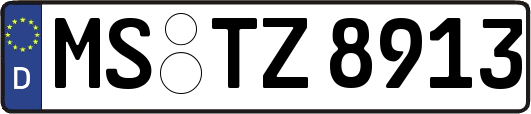 MS-TZ8913