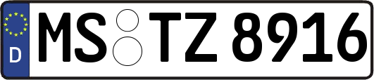 MS-TZ8916