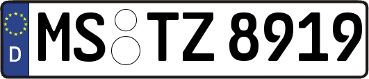 MS-TZ8919
