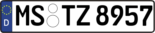 MS-TZ8957