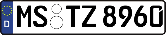 MS-TZ8960