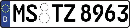 MS-TZ8963