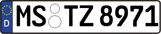 MS-TZ8971