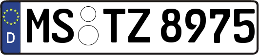 MS-TZ8975