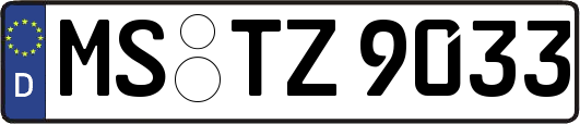 MS-TZ9033