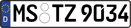 MS-TZ9034