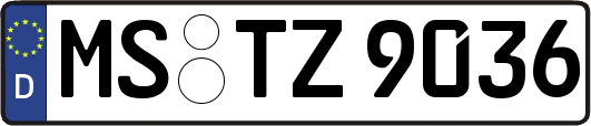 MS-TZ9036