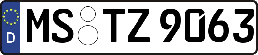 MS-TZ9063