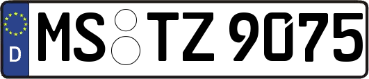 MS-TZ9075