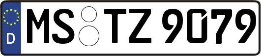 MS-TZ9079