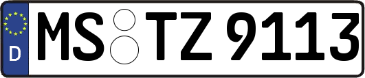 MS-TZ9113