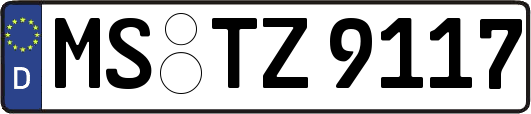 MS-TZ9117