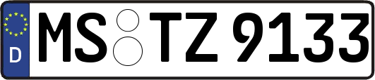MS-TZ9133
