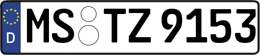 MS-TZ9153