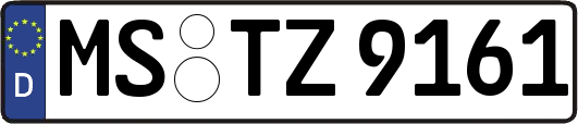MS-TZ9161